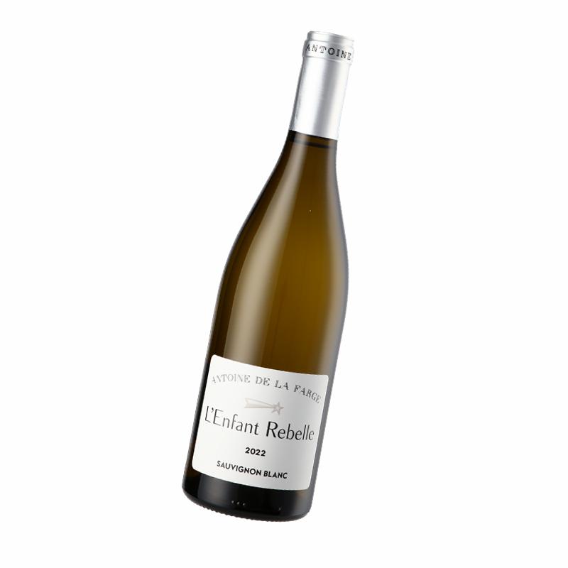 Domaine Ermitage Enfant Rebelle SB